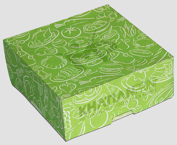 tiffin buffet takeaway box tiffins parcel delivery boxes dosa snacks pack | khatian print