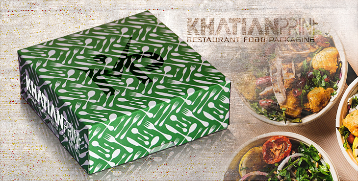 tiffin box breakfast tiffins parcel delivery boxes dosa snacks supply pack | khatian print